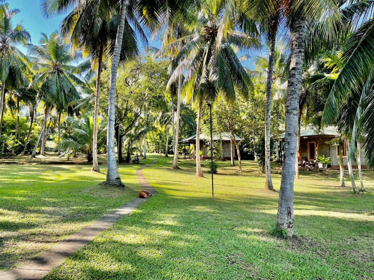 Udawalawa Safari Resort اوداوالاوي المظهر الخارجي الصورة