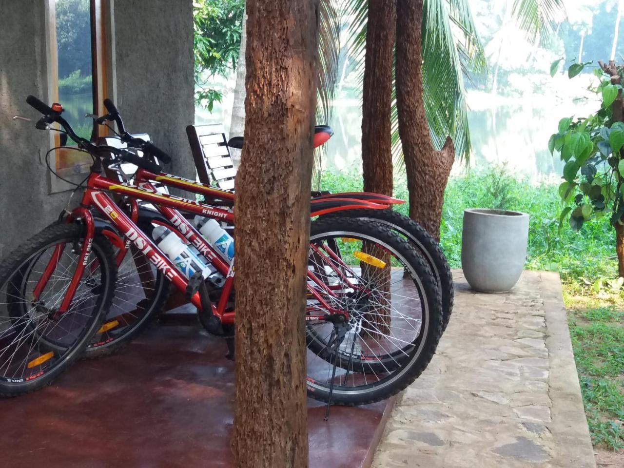Udawalawa Safari Resort اوداوالاوي المظهر الخارجي الصورة