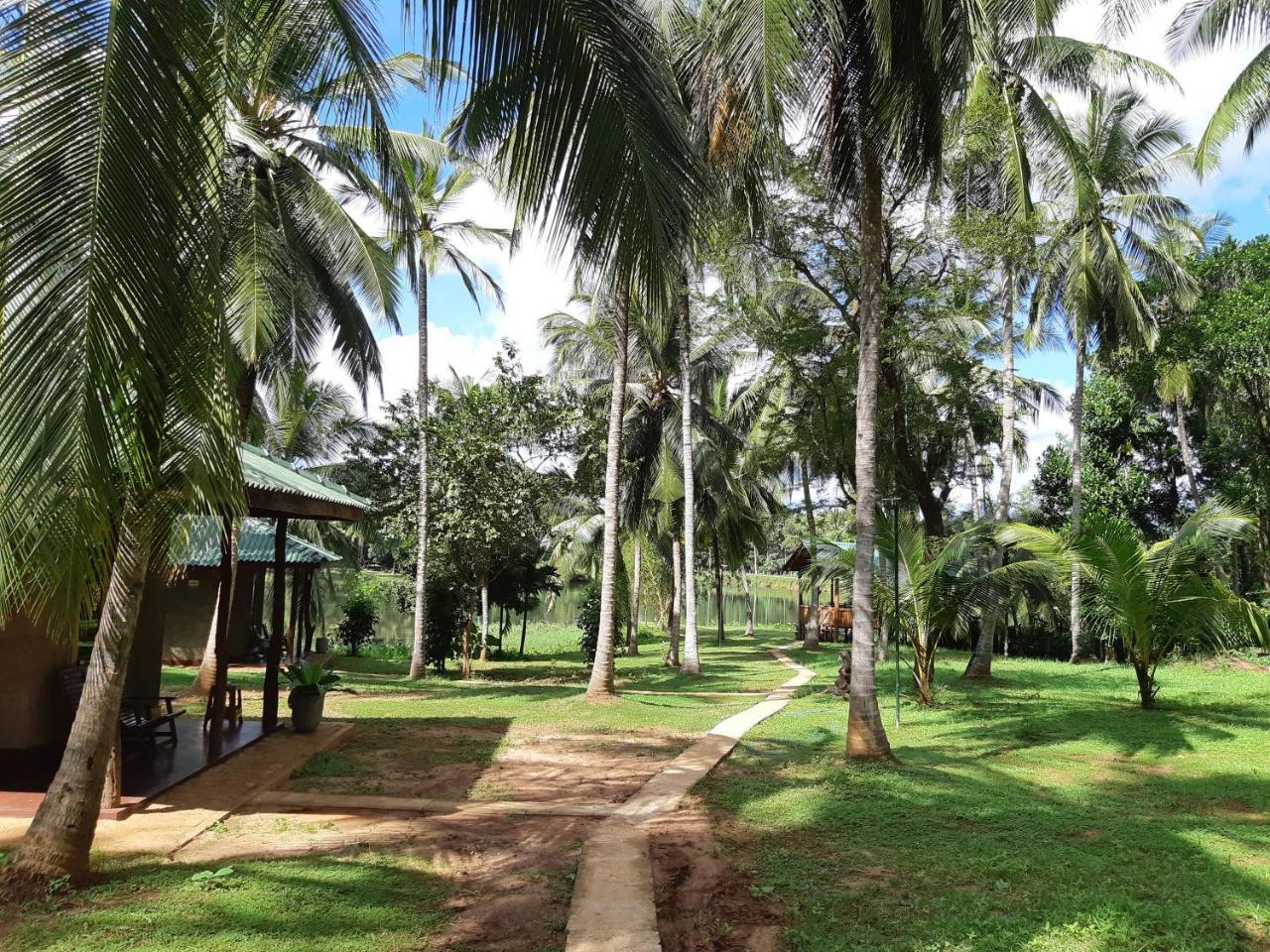 Udawalawa Safari Resort اوداوالاوي المظهر الخارجي الصورة