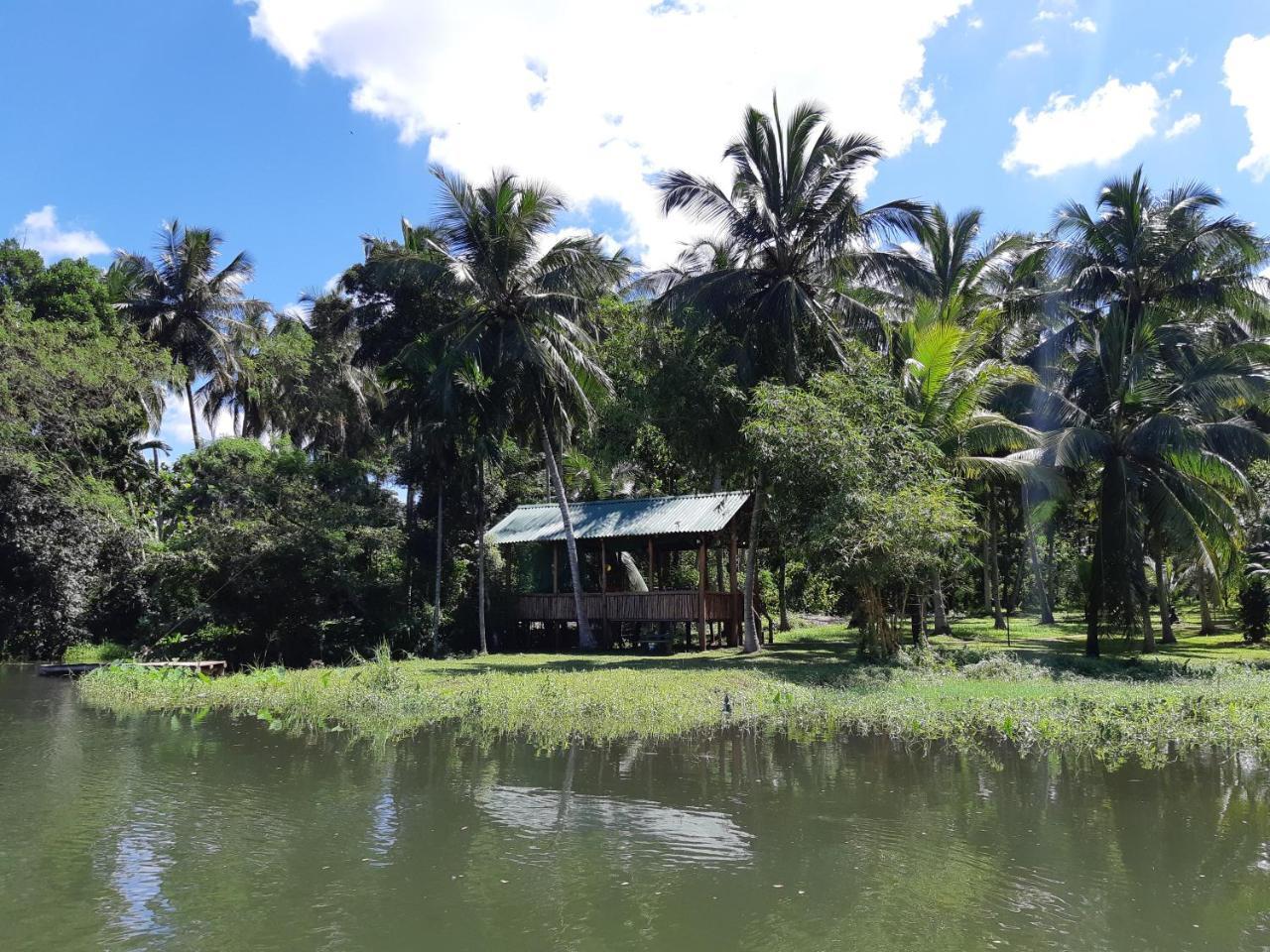 Udawalawa Safari Resort اوداوالاوي المظهر الخارجي الصورة
